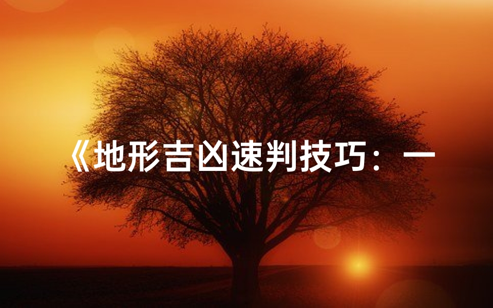 《地形吉凶速判技巧:一看便知的风水秘诀视频教程》