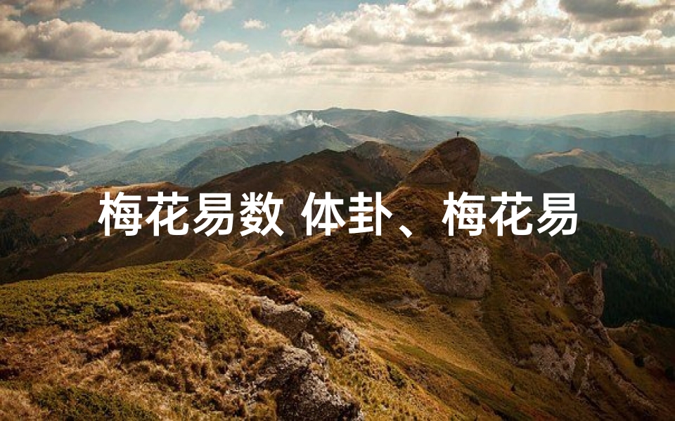 梅花易数 体卦、梅花易数体卦吉凶详析揭秘
