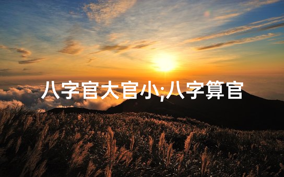八字官大官小;八字算官大贵命格:揭秘富贵人生密码