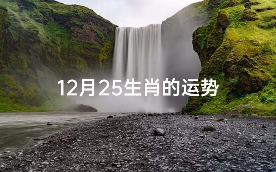 12月25生肖的运势