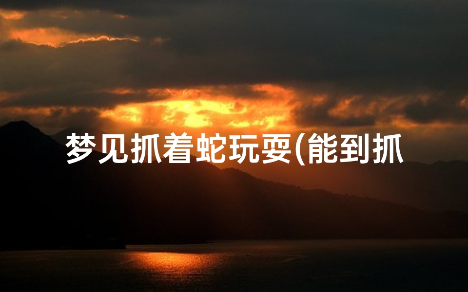 梦见抓着蛇玩耍(能到抓蛇)