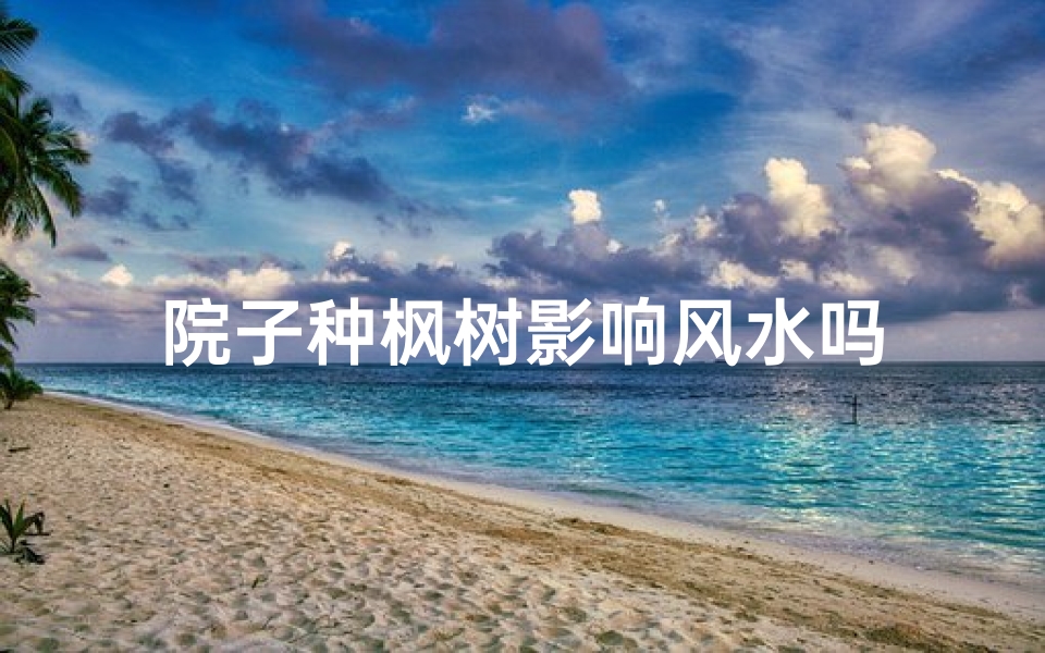院子种枫树影响风水吗