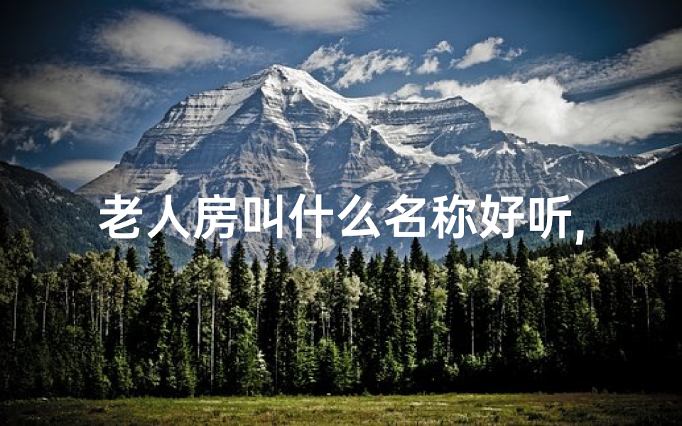 老人房叫什么名称好听,《老人小孩房间命名宝典:温馨空间新名汇》