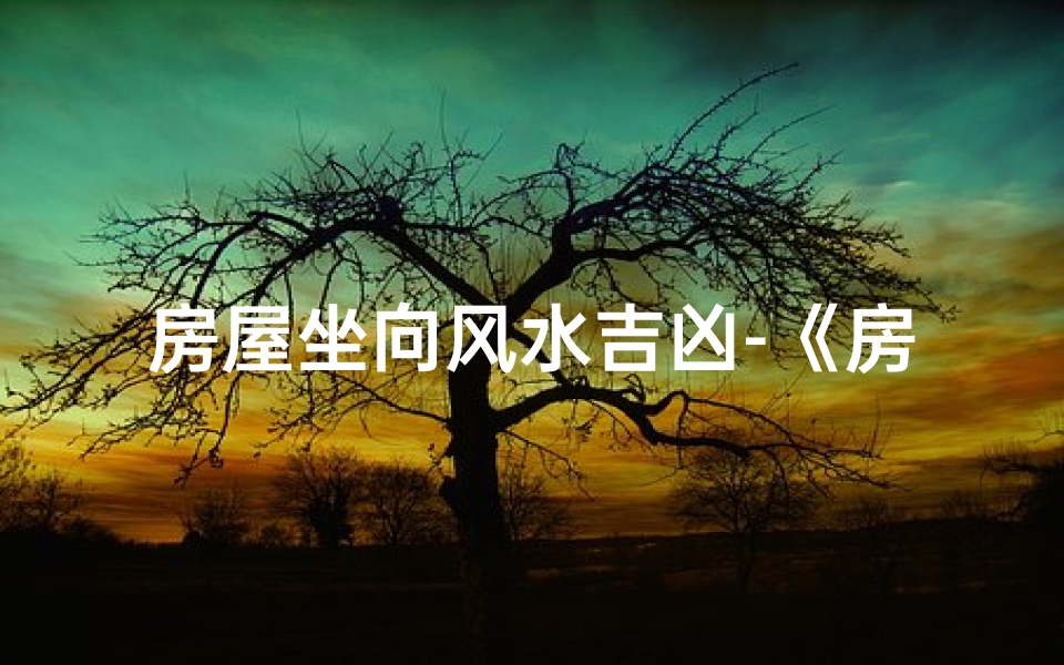 房屋坐向风水吉凶-《房间风水坐向揭秘:吉凶分析指南》