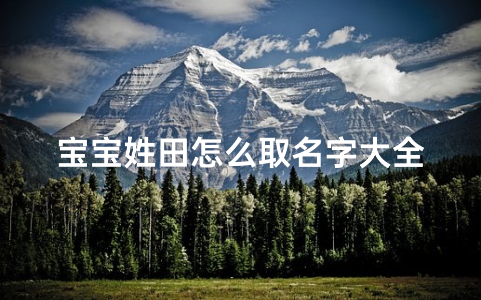 宝宝姓田怎么取名字大全—宝宝姓田怎么取名字大全两个字