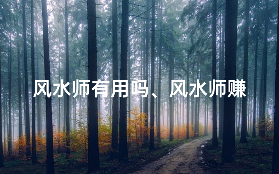 风水师有用吗、风水师赚钱之道揭秘