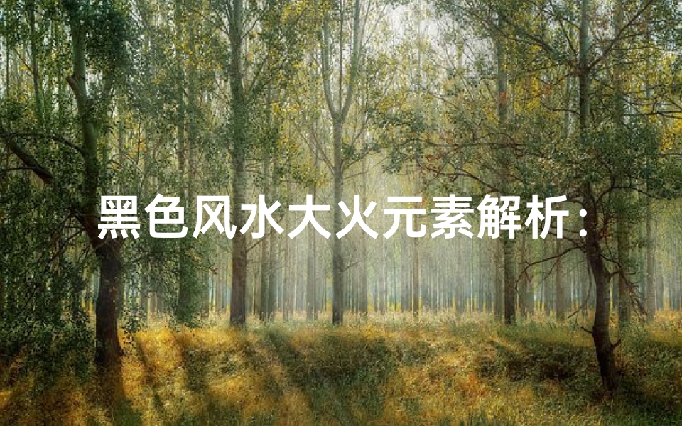 黑色风水大火元素解析:揭秘家居布局奥秘