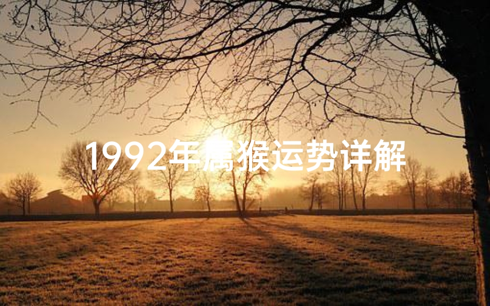 1992年属猴运势详解:猴年运势大揭秘