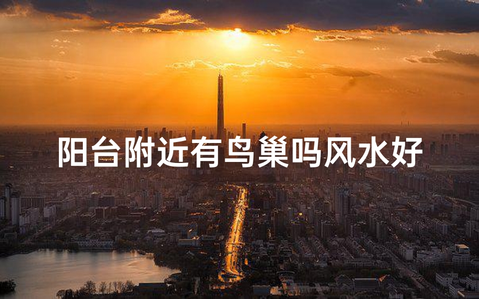 阳台附近有鸟巢吗风水好吗