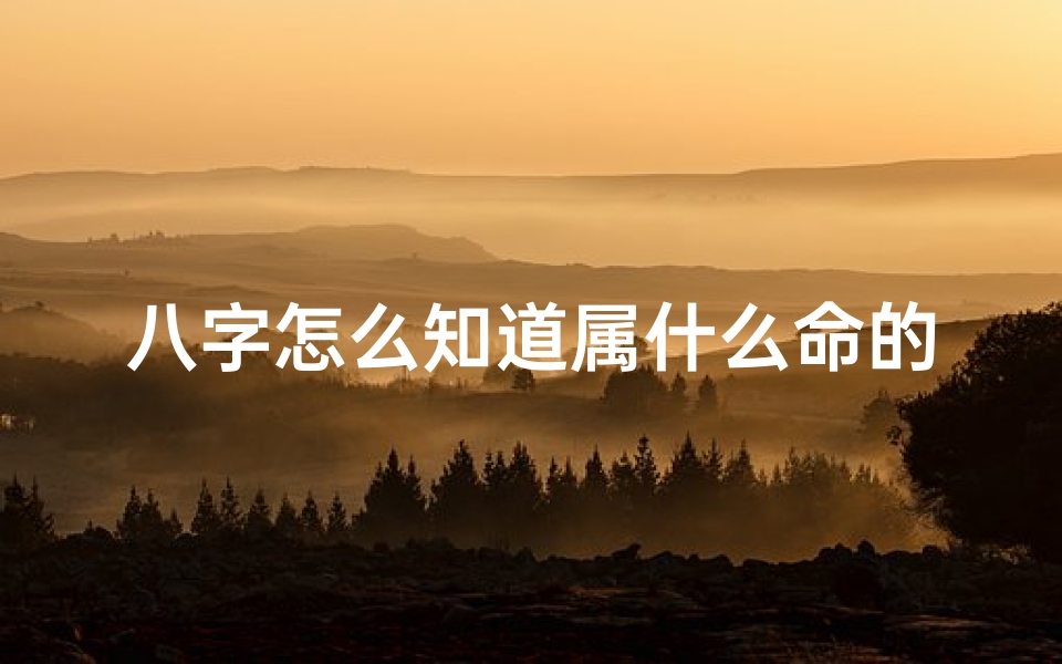 八字怎么知道属什么命的—八字怎么知道属什么命的呢