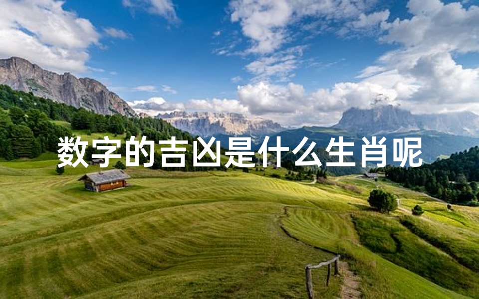 数字的吉凶是什么生肖呢-数字吉凶揭秘:揭秘生肖运势的秘密