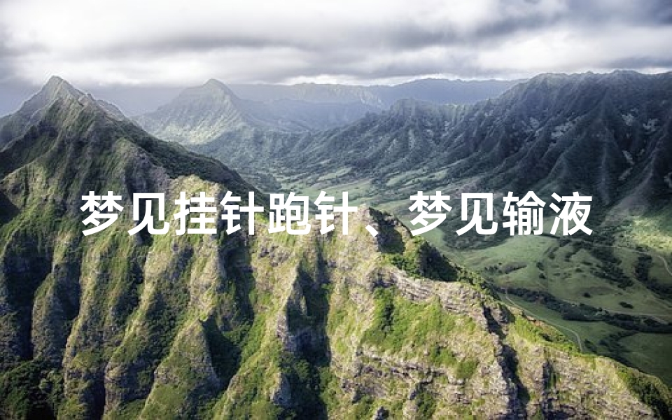 梦见挂针跑针、梦见输液扎针跑针