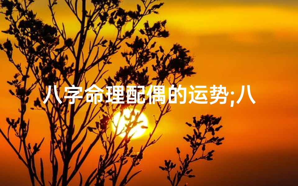 八字命理配偶的运势;八字命理揭秘:配偶运势吉凶全解析