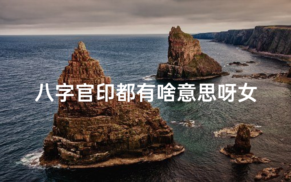 八字官印都有啥意思呀女命-八字中的官印总共有哪些官印