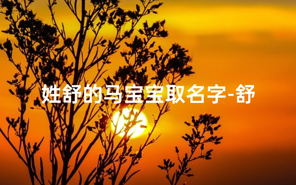 姓舒的马宝宝取名字-舒家添喜:马宝宝降临,寓意吉祥的名字揭晓