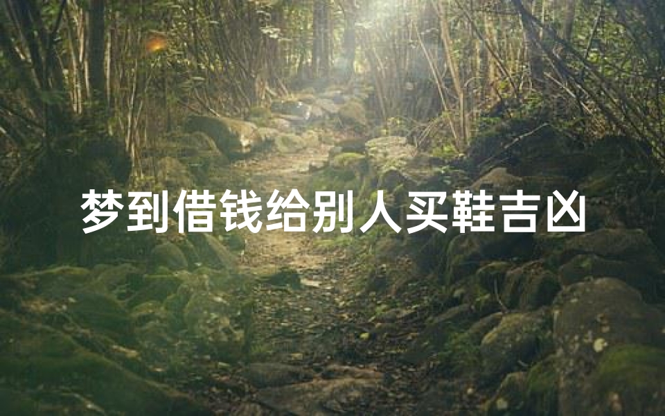 梦到借钱给别人买鞋吉凶、梦见借钱买鞋