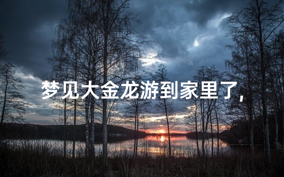 梦见大金龙游到家里了,梦见大金龙在自己家门口