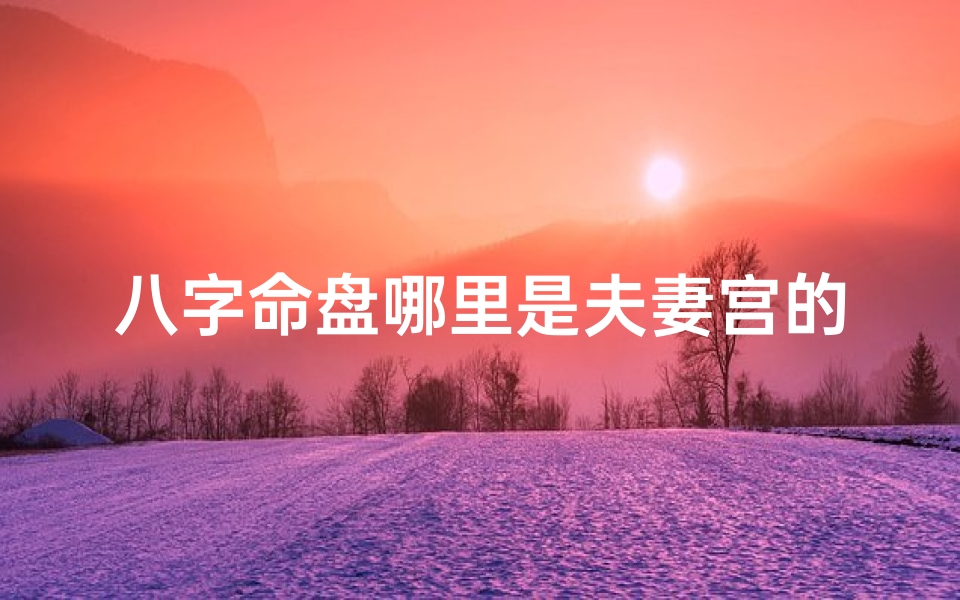 八字命盘哪里是夫妻宫的,八字排盘夫妻宫怎么看