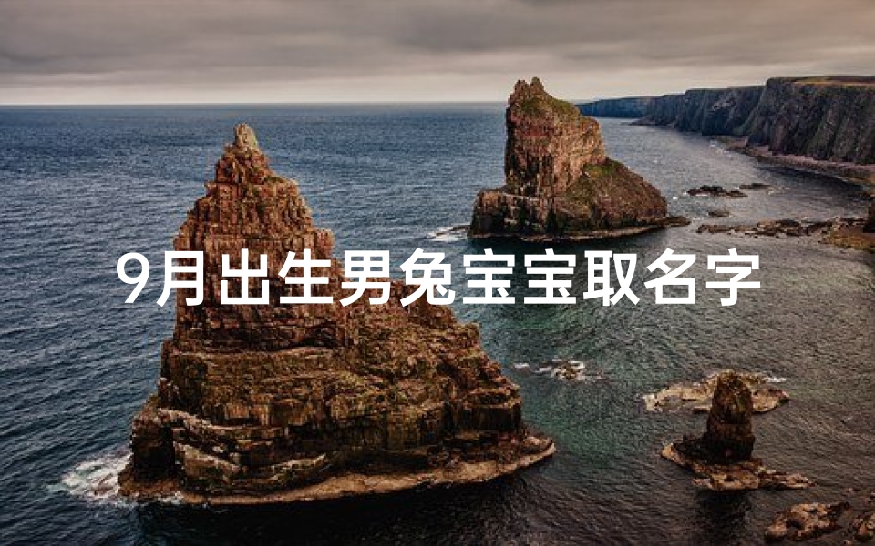 9月出生男兔宝宝取名字