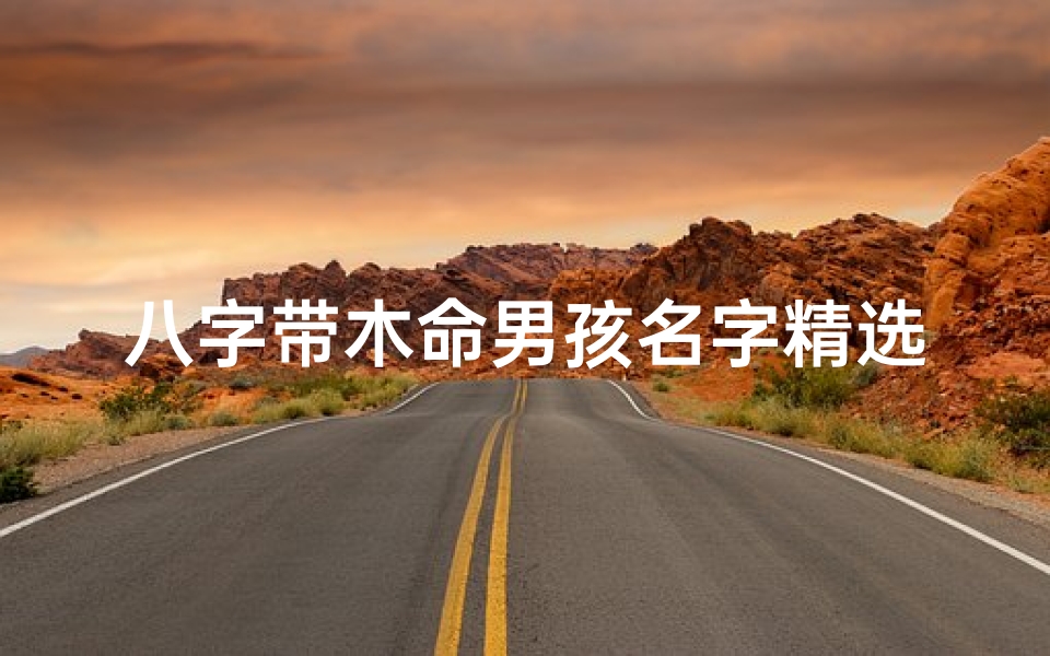 八字带木命男孩名字精选集