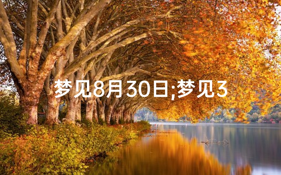 梦见8月30日;梦见32号日期