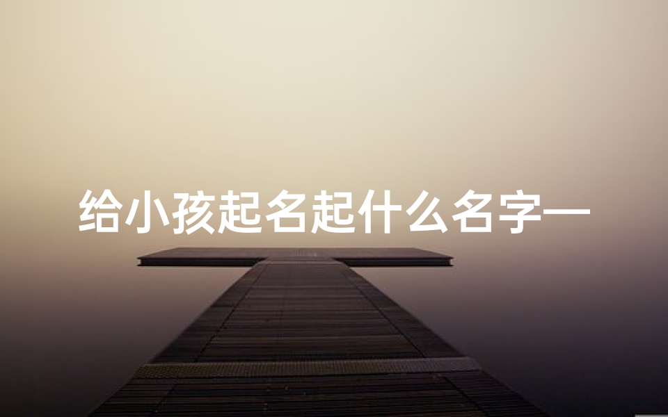 给小孩起名起什么名字—《宝宝起名:寻找最美好的名字之旅》