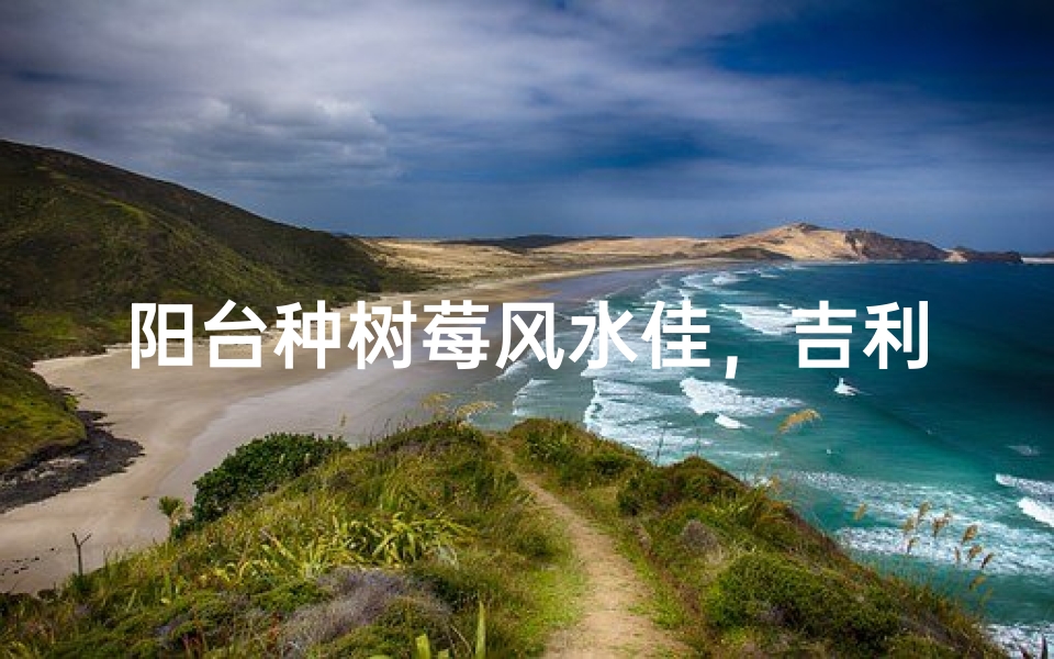阳台种树莓风水佳,吉利生活好相伴-优贝算卦网