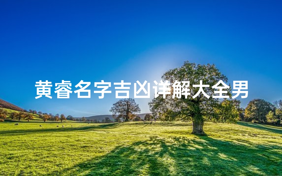 黄睿名字吉凶详解大全男孩,《黄睿名字吉凶详解:男孩命名智慧宝典》