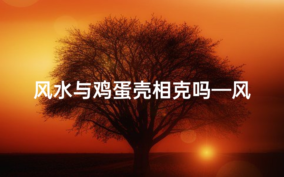 风水与鸡蛋壳相克吗—风水禁忌:鸡蛋壳竟与风水相克?