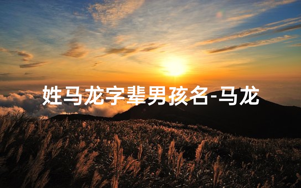姓马龙字辈男孩名-马龙宝宝:龙腾盛世,马到成功