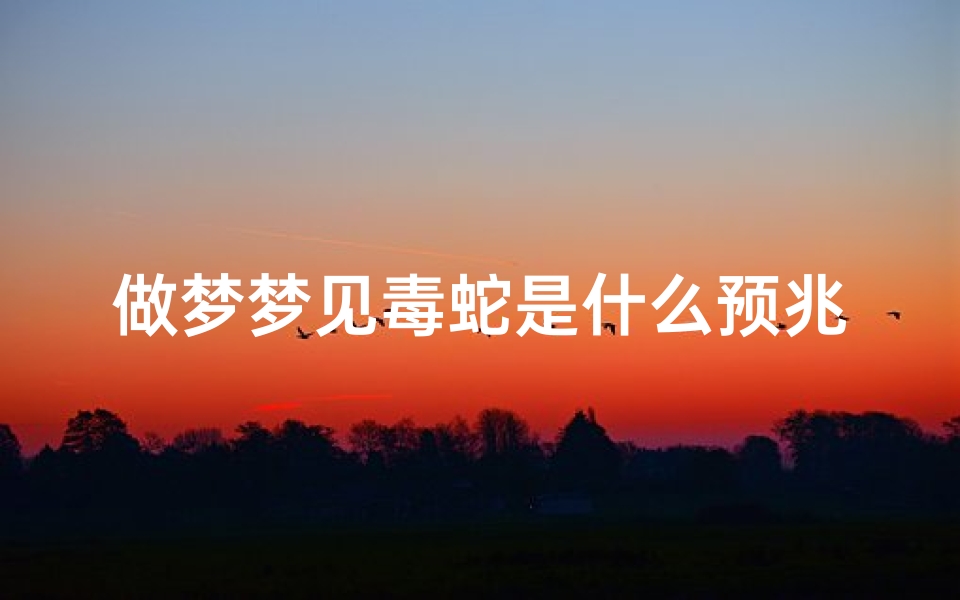 做梦梦见毒蛇是什么预兆男人,男人做梦梦见毒蛇是什么寓意