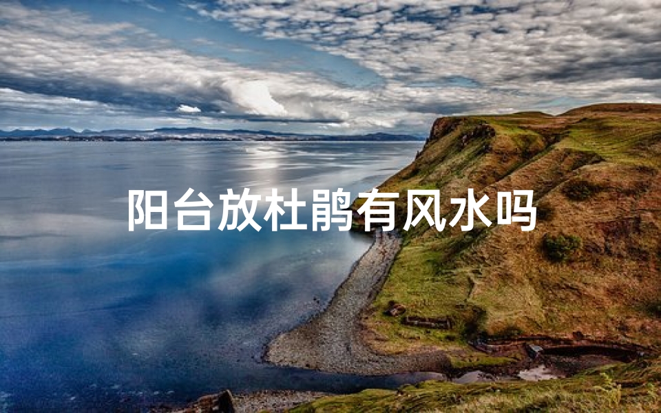 阳台放杜鹃有风水吗