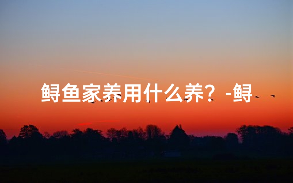鲟鱼家养用什么养？-鲟鱼家居风水：吉利风水养鱼好选择