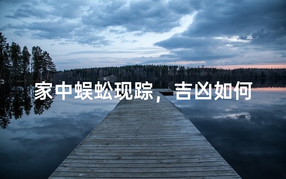 家中蜈蚣现踪,吉凶如何?-优贝算卦网