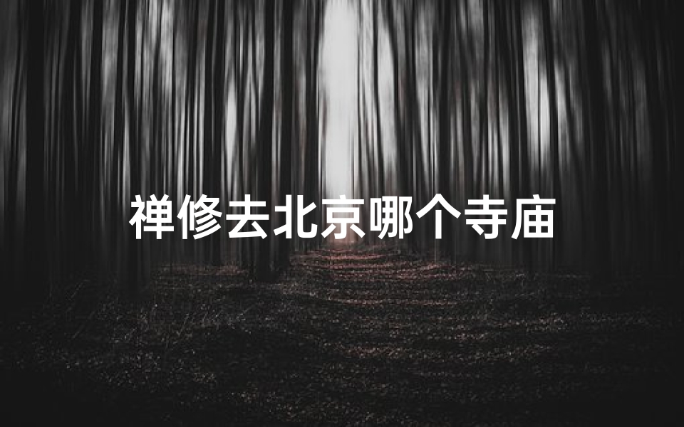 禅修去北京哪个寺庙