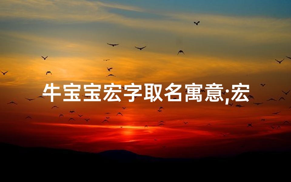 牛宝宝宏字取名寓意;宏字取名宝典