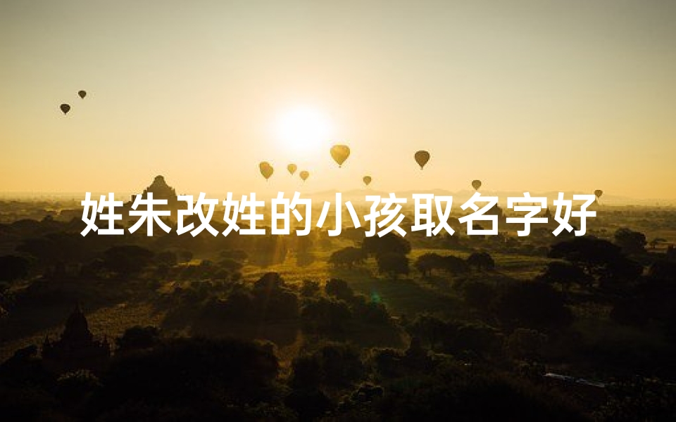 姓朱改姓的小孩取名字好吗(《朱姓宝宝改姓奇遇:新名字背后的故事》)