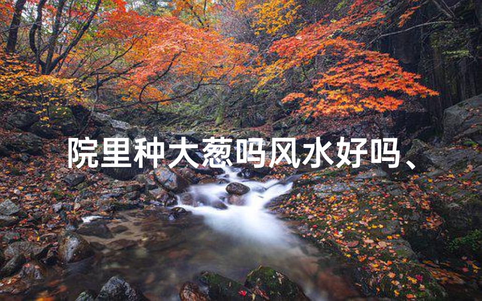 院里种大葱吗风水好吗、院里种大葱风水究竟如何?