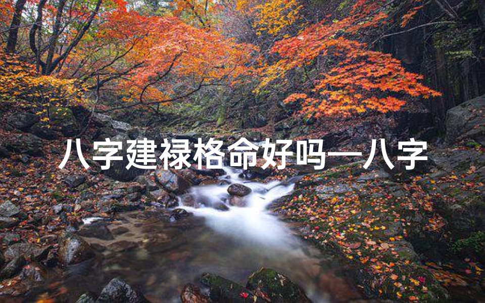 八字建禄格命好吗—八字建禄格命理揭秘:财运亨通的人生密码
