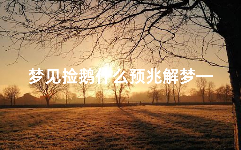 梦见捡鹅什么预兆解梦—梦见捡到一只鹅好不好