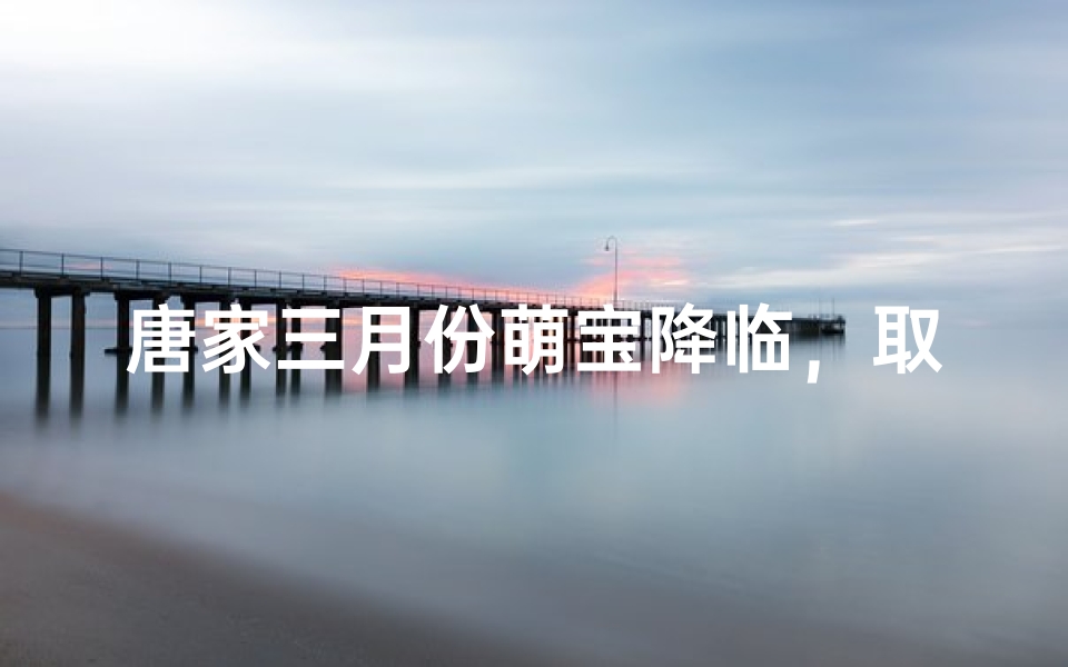 唐家三月份萌宝降临,取名趣事多