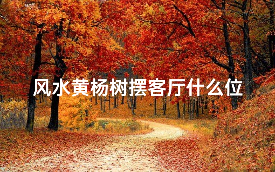 风水黄杨树摆客厅什么位置好,黄杨树摆家中,风水旺运好兆头