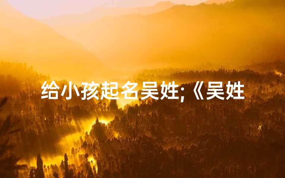 给小孩起名吴姓;《吴姓宝宝起名:寓意美好,创意无限》