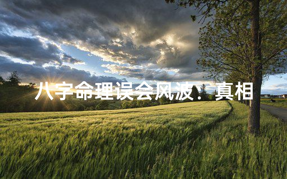 八字命理误会风波:真相揭晓