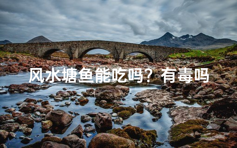 风水塘鱼能吃吗?有毒吗?揭秘真相