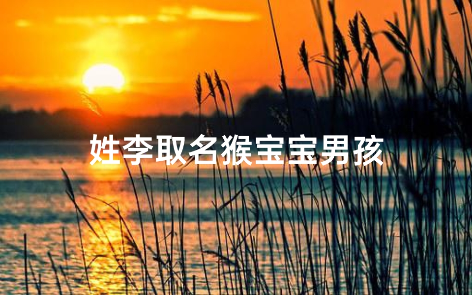 姓李取名猴宝宝男孩