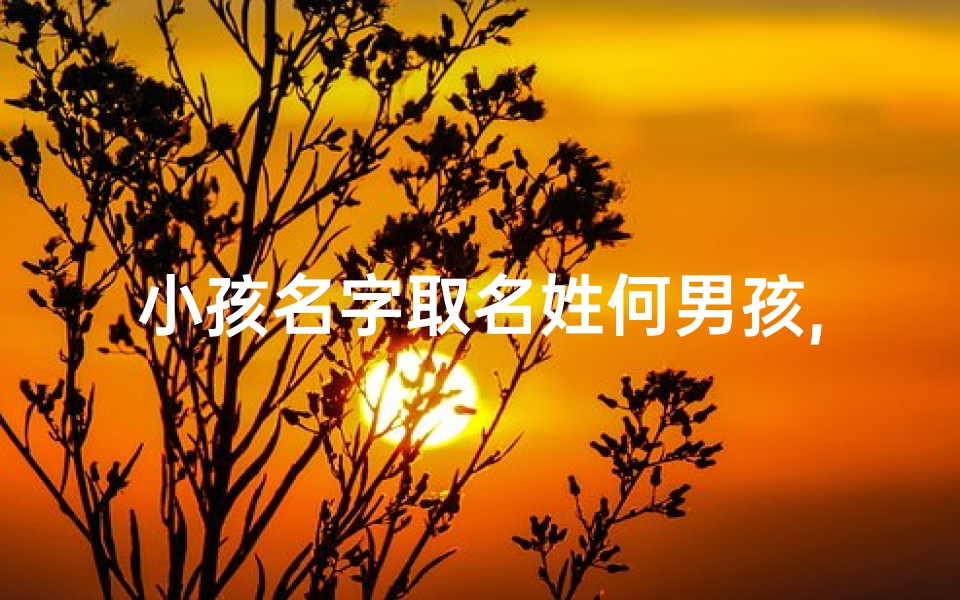 小孩名字取名姓何男孩,何姓男宝宝取名大全2021款