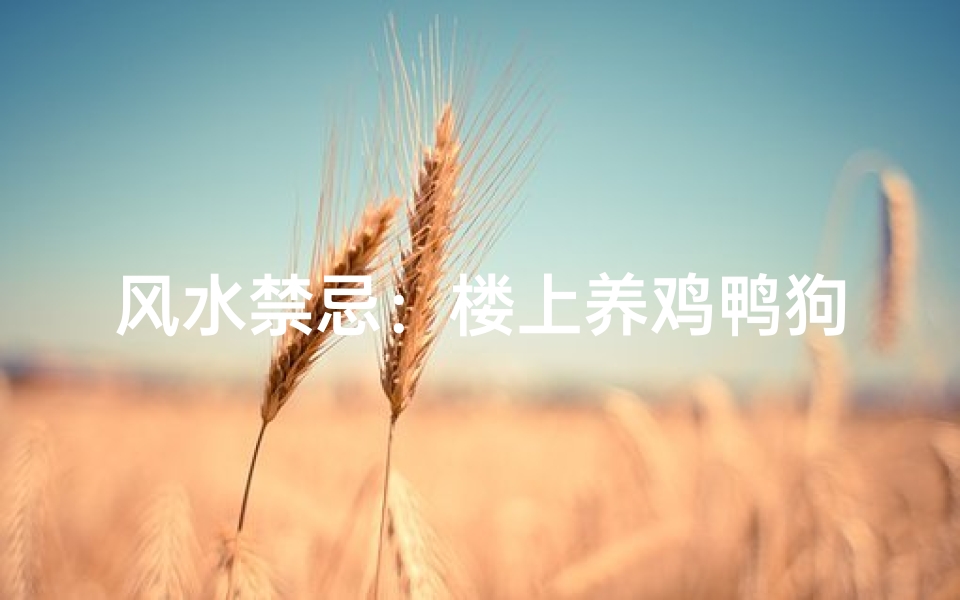 风水禁忌:楼上养鸡鸭狗可行吗?