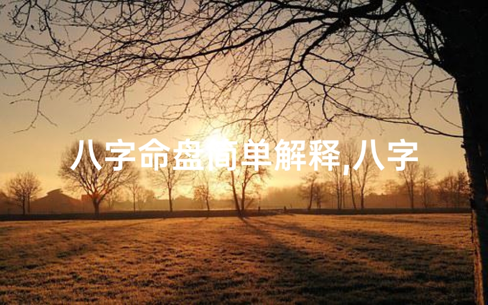 八字命盘简单解释,八字命盘的详细解释-优贝算卦网