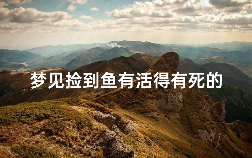 梦见捡到鱼有活得有死的好不好,《梦境奇缘:捡活鱼预示女性大吉大利》
